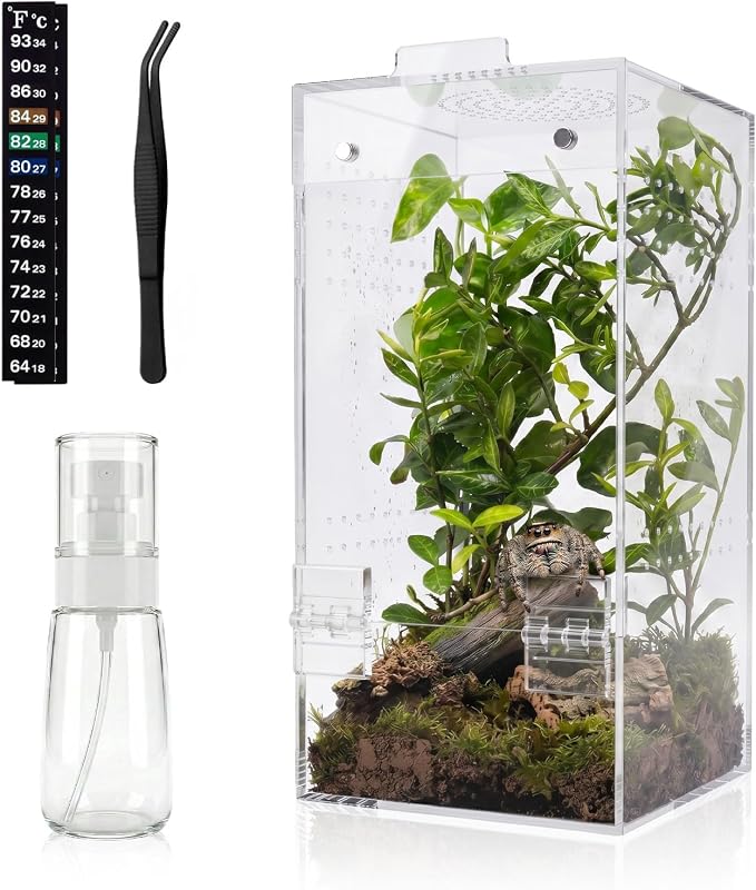 4"×4"×8" Ready-to-Use Acrylic Jumping Spider Enclosure No Assembly Needed | 360° Ventilation, Mini Reptile Terrarium for Jumping Spider, Mantis, Snail – Ideal for Desk, Living Room & Bedroom