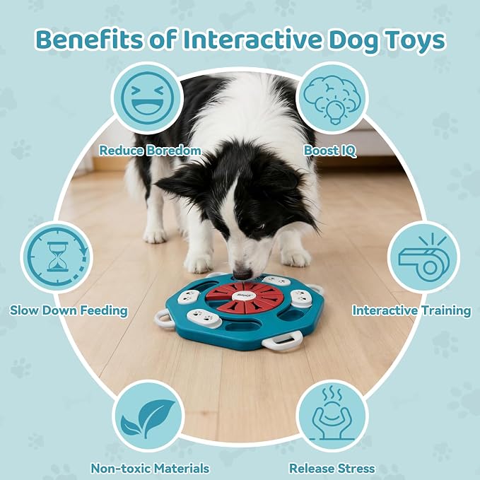 MateeyLife Dog Puzzle Toy for Smart Dogs, Mental Stimulation Dog Enrichment Toys, Treat Dispensing Dog Toys to Keep Them Busy for Small and Medium Dogs, IQ Training Puzzle Feeder, Level-1 (Blue)