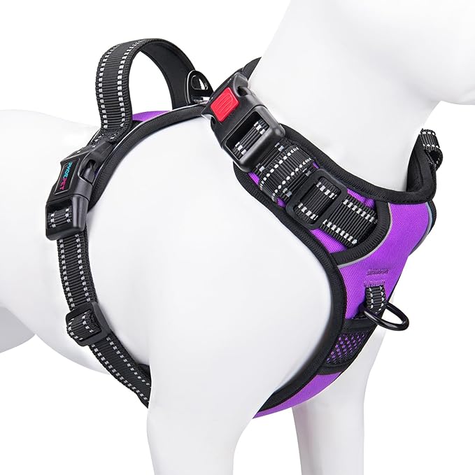 No Pull Dog Harnesses for Small Dogs Reflective Adjustable | Front Clip Vest with Handle 2 Metal Rings 3 Buckles [Easy to Put on & Take off](S, Purple)