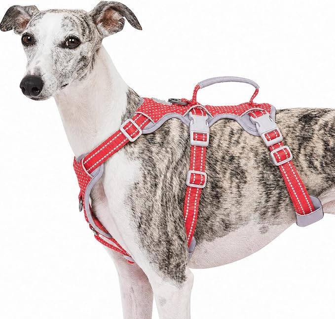 Escape Proof Dog Harness, No Pull Reflective Harness with Lift Handle, Adjustable Pet Vest with Front and Back Leash Clips for Small Medium Large Dogs Walking Hiking Training (Red,L)