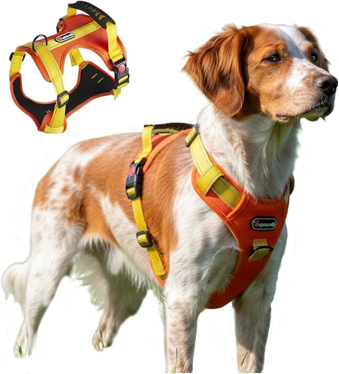 Tactical Dog Harness for Large Medium Dogs No Pull Adjustable Pet Vest with Reflective Straps Front & Back Clips Handle for Hiking Walking Hunting– 4 Sizes with or Without Leash (Orange, M)
