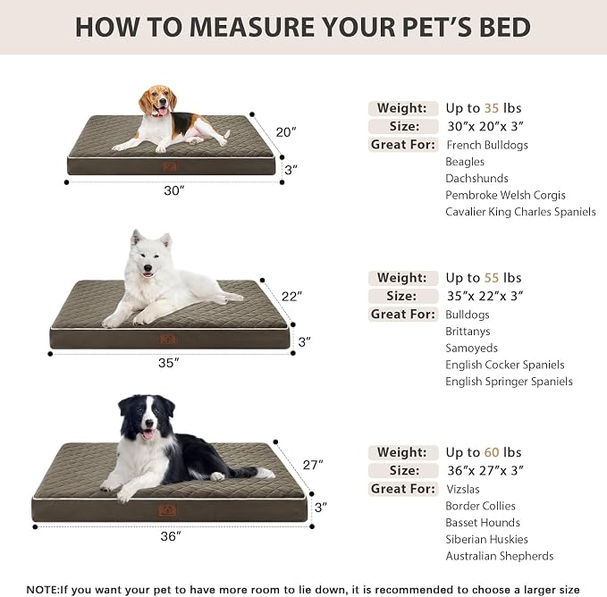 WNPETHOME Orthopedic Waterproof Dog Bed Medium for Comfy Sleeping | Washable Medium Pet Bed with Removable Cover, Multi-Needle Quilting Dogs Crate Bed Dark Green 30x20 Inch