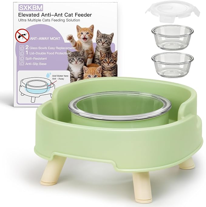 Ant Not Cross Elevated Cat Bowls Mess Proof-2 Food Grade Glass Bowls & 1 Lids- No Spill Cat Food and Water Feeding Station for Cats&Puppy Indoor & Outdoor,No Whisker Fatigue Dish,Green
