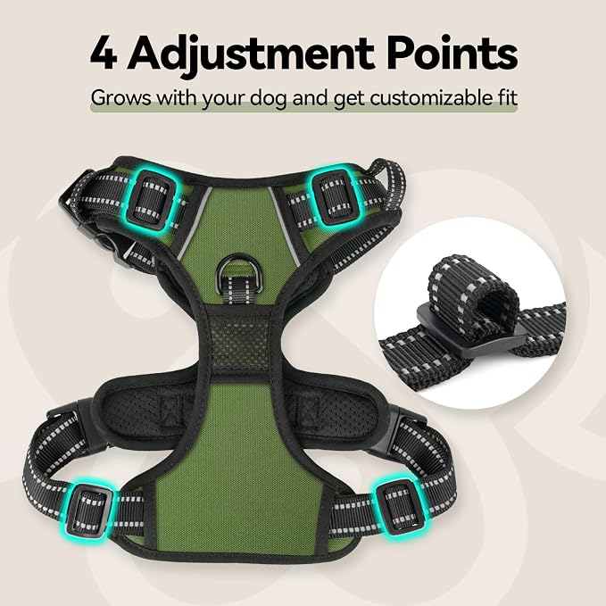 No Pull Dog Harness with Handle Front & Back Clip, Easy on | Lockable Snap Buckle at Neck, Adjustable Reflective Vest with Handle for Small Medium Large Dogs (M, Misty Green)
