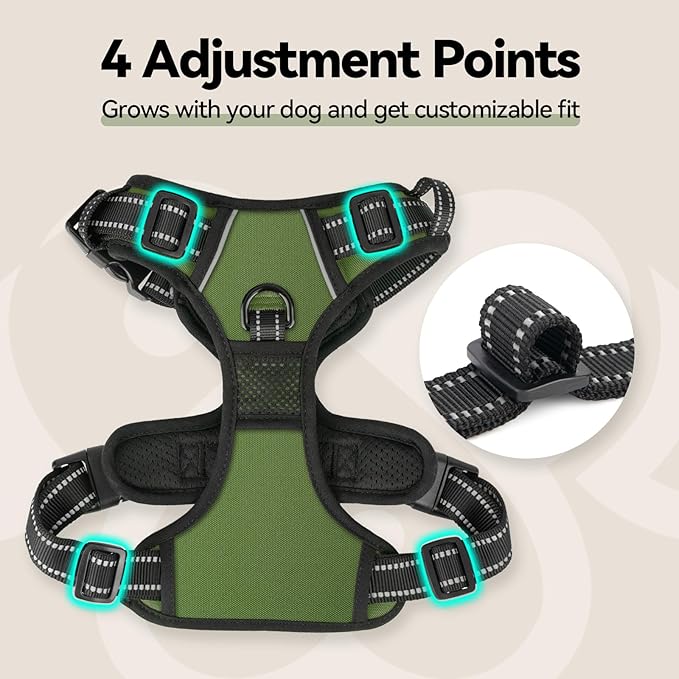 No Pull Dog Harness with Handle Front & Back Clip, Easy on | Lockable Snap Buckle at Neck, Adjustable Reflective Vest with Handle for Small Medium Large Dogs (S, Misty Green)