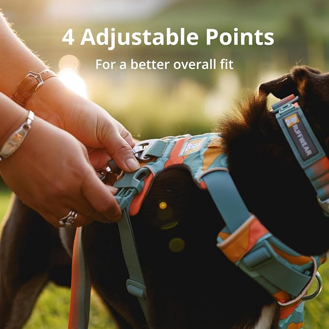 Ruffwear, Front Range Dog Harness, Reflective Soft Padded Everyday Harness with Dual Leash Clips, Adjustable and Lightweight Fit for Training or Walking for All Dogs, Spring Mountains, Large/X-Large