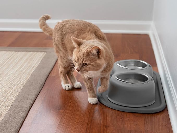 WeatherTech Double High Pet Feeding System - Elevated Dog/Cat Bowls - 3 inch High Dark Grey (DHC0803DGDG)