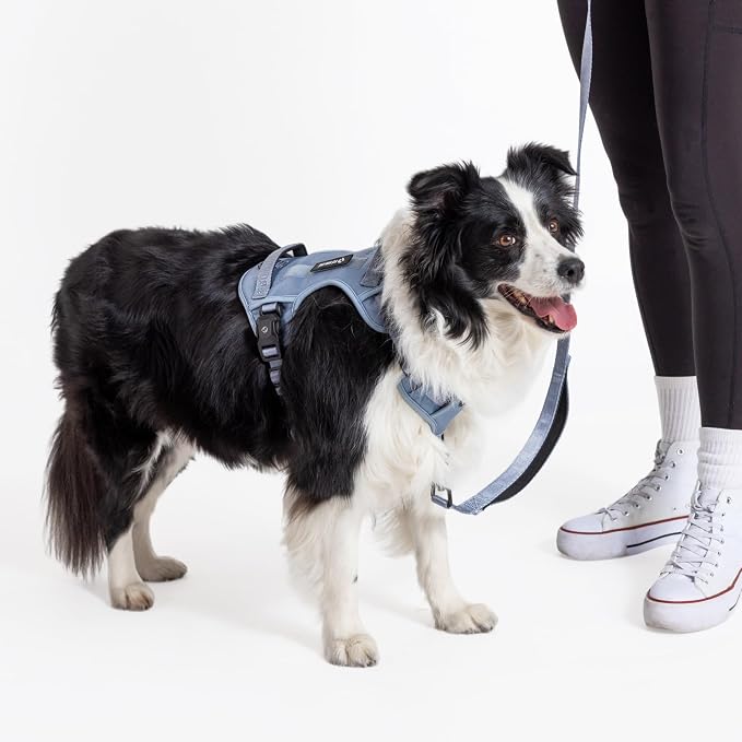 Fei & Eve Classic Dog Harness, MagEase Magnetic Buckle | 3-Point No-Pull Control, Dual Handle Support, 900D Nylon, Tactical Patch Panel, Heavy Duty, Medium, Blue