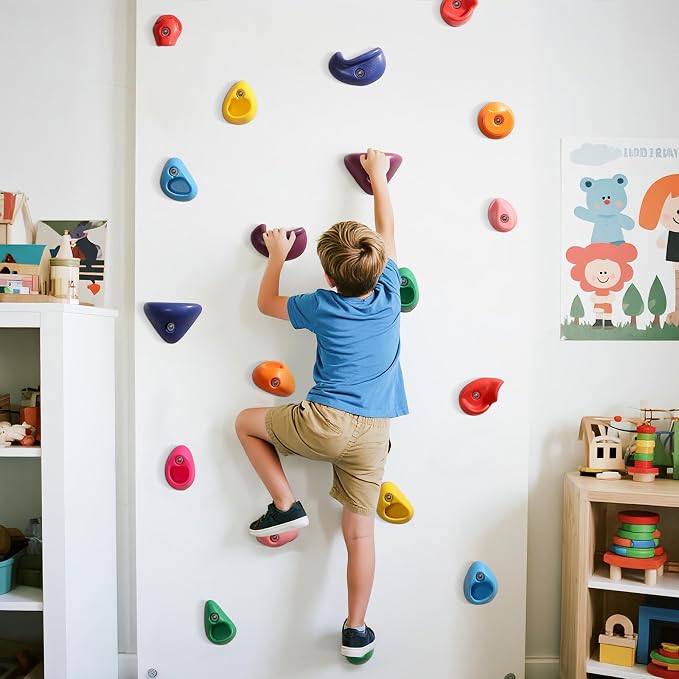 TOPNEW 20PCS Rock Climbing Holds for Kids, Climbing Rocks for Play Set, Swingset - Adult Rock Wall Holds with Mounting Hardware for Indoor Outdoor, Bright Color