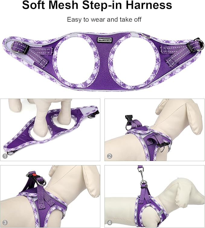 Mercano Soft Mesh Dog Harness and Leash Set, No-Chock Step-in Reflective Breathable Lightweight Easy Walk Vest Harnesses with Safety Buckle for Small Dogs, Cats (L, Purple)