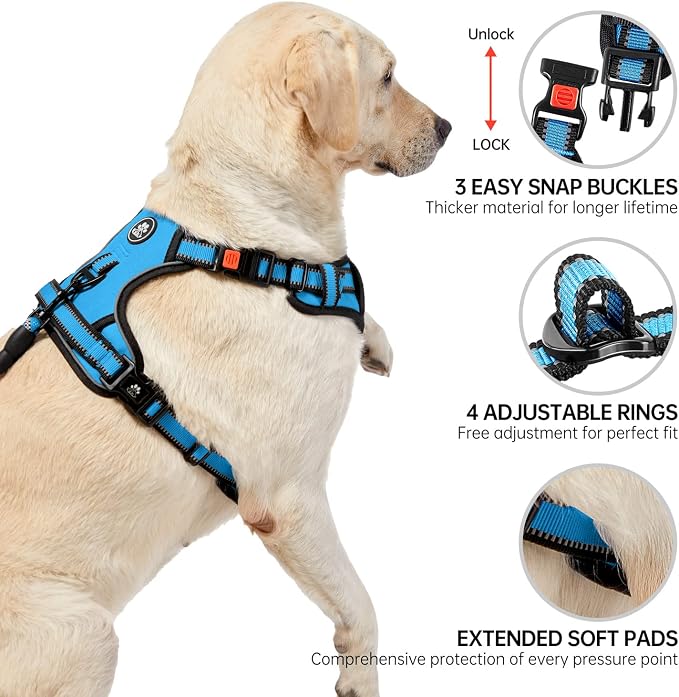 NESTROAD No Pull Dog Vest Harness with Leash, Adjustable Reflective Oxford Pet Harness with Easy Control Handle for Small Dogs, Blue