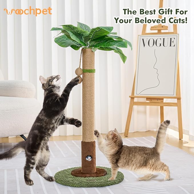 Woochpet Cat Scratching Post for Indoor Cats and Kitten - 35.43" Tall Cat Scratching Post with Sisal Rope,Palm Tree Cat Scratch Post with Hanging Ball (35.4-Green, 35.4in)