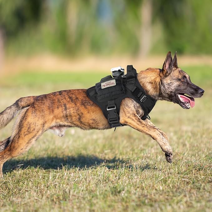 rabbitgoo Tactical Dog Harness for Large, Heavy Duty Military No Pull Vest | Sturdy Metal Buckles, 5 Adjustments, Molle System, Powerful Pullers for Training, Hunting, Outdoor, Black, Large