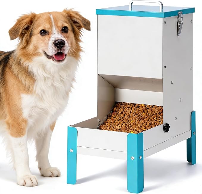 Automatic Dog Feeder 10L Gravity Cat Feeder with Stand | Dog Food Dispenser with a Detachable Feeding Tray, Galvanized Pet Feeding Station for Dogs & Cats, Relieves Neck Pressure