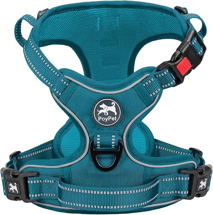 PoyPet No Pull Dog Harness, Reflective Vest with 2 Leash Clips & Handle | Lockable Neck Release Buckle, No Choke, Adjustable, Soft Padded, for Walking Training, Tumalo Teal, Large