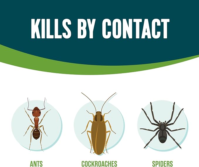 Ecologic Eco-Logic Ant & Roach Killer, Pack of 12