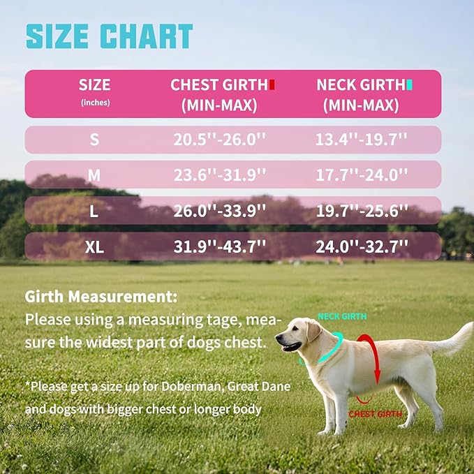AUROTH Dog Harness and Leash Set for Large Sized Dog, No Pull Dog Vest | with Leash Clips, LED light clip, Soft Padded No Choke, Escape Proof, Easy Walking and Training, Rose Red, XL