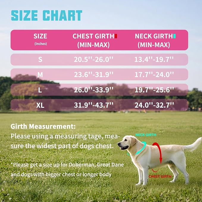 AUROTH Dog Harness for Large Dogs No Pull Tactical Harness and Leash Set | with Leash Clips, LED light clip, Breathable Mesh Padded No Choke, Easy Walking and Training, Rose Red, Large