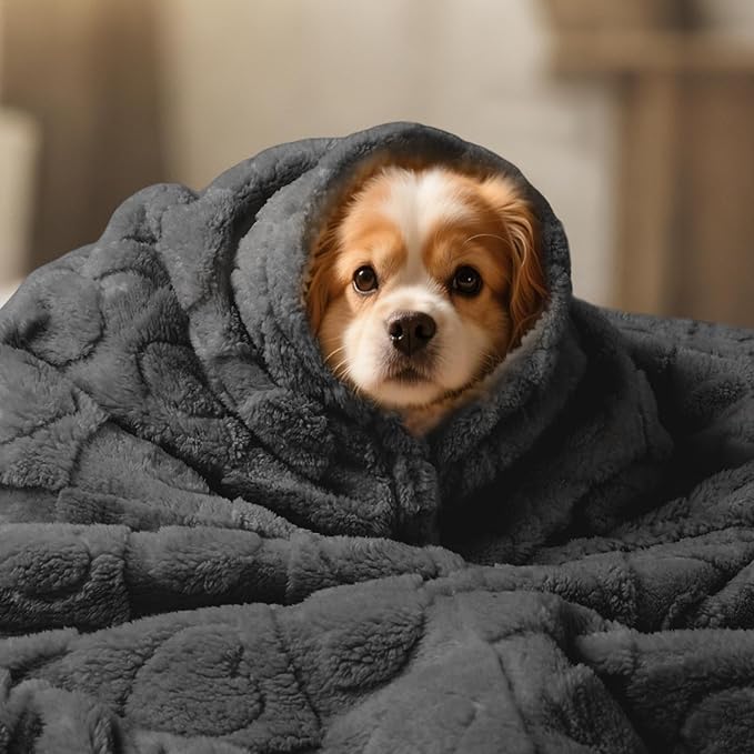 Luciphia Waterproof Dog Blanket for Medium Large Dogs Washable Bed Couch Protector Soft Fluffy 3D Heart Jacquard Pet Blanket with Sherpa Fleece Cozy Calming Throw Blankets, Grey 65x57 inch