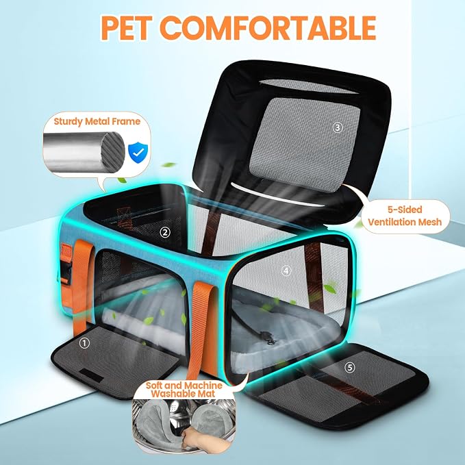 Petskd Top-Expandable Small Pet Carrier with Wheels (19" L x 13" W x 9" H), Southwest/Allegiant Airlines Approved, Rolling Pet Carrier for Small Dogs & Cats (Black)