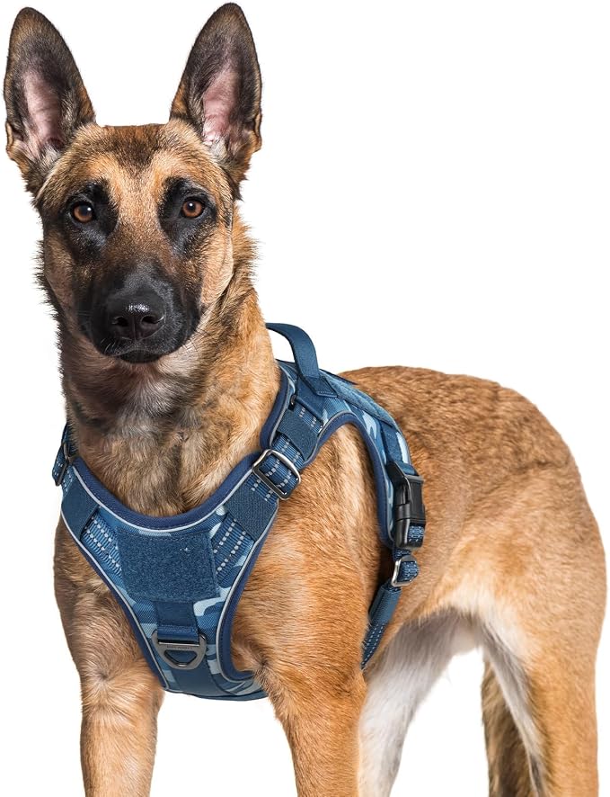 rabbitgoo Tactical Dog Harness for Large Dogs, No Pull Service Pet Vest | Military Molle System & Easy Control Handle, Adjustable and Reflective for Walking and Training, Blue Camo, X-Large