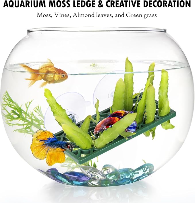 Abizoo Betta Fish Tunnel Hideout and Hammock Bed Aquarium Decor Dark Green | Hollow Cave Design, Moss-Friendly Textured Surface, Small Coral Hole, Safe for Shrimp, Guppy, Neon Tetra, Snails, Dwarf Frog