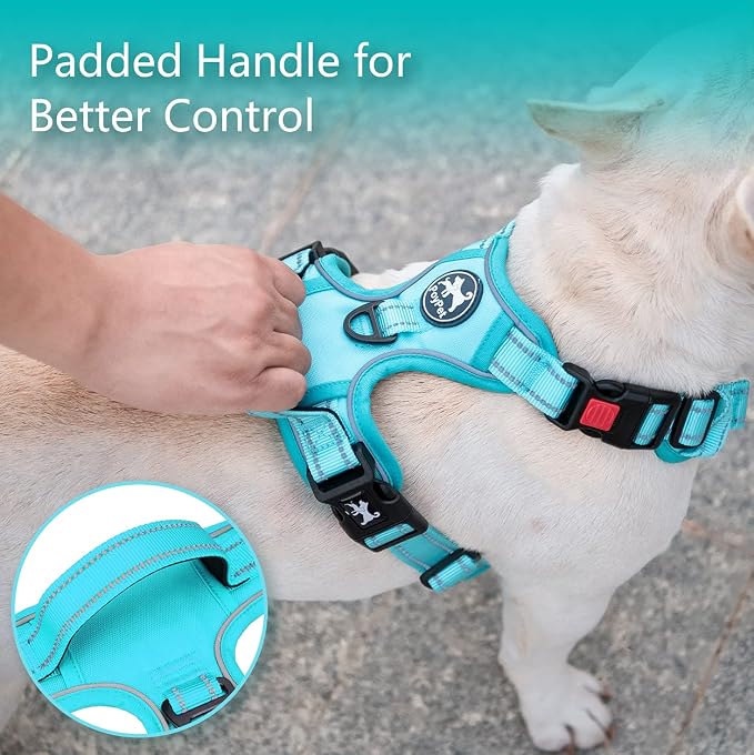 PoyPet No Pull Dog Harness, Reflective Vest with 2 Leash Clips & Handle | Lockable Neck Release Buckle, No Choke, Adjustable, Soft Padded, for Walking Training, Mint Blue Matching Trim, X-Large