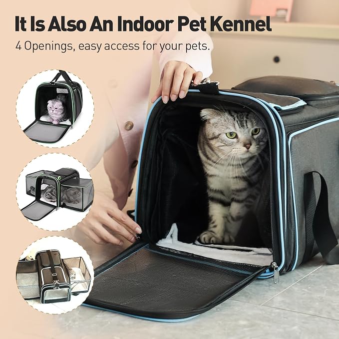 Expandable Airline Approved Pet Carrier - Collapsible Soft Sided Cat & Dog Travel Carrier with Mesh Windows & Adjustable Strap (Tangerine)
