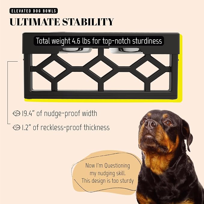 AVERYDAY Elevated Dog Bowls, 4 Height Adjustable Stand for Medium and Large Dogs, Raised Dog Feeder Holder with 2 Stainless Steel Food and Water Bowls, Anti-Slip Base Tall Feeding Station
