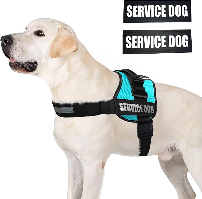 Service Dog Vest Harness – Reflective Service Animal Vest, No-Pull Harness with Handle & Mesh Padding – Sizes XXS-XL for Puppies – 2 Removable Service Patches Included (Medium, Blue)