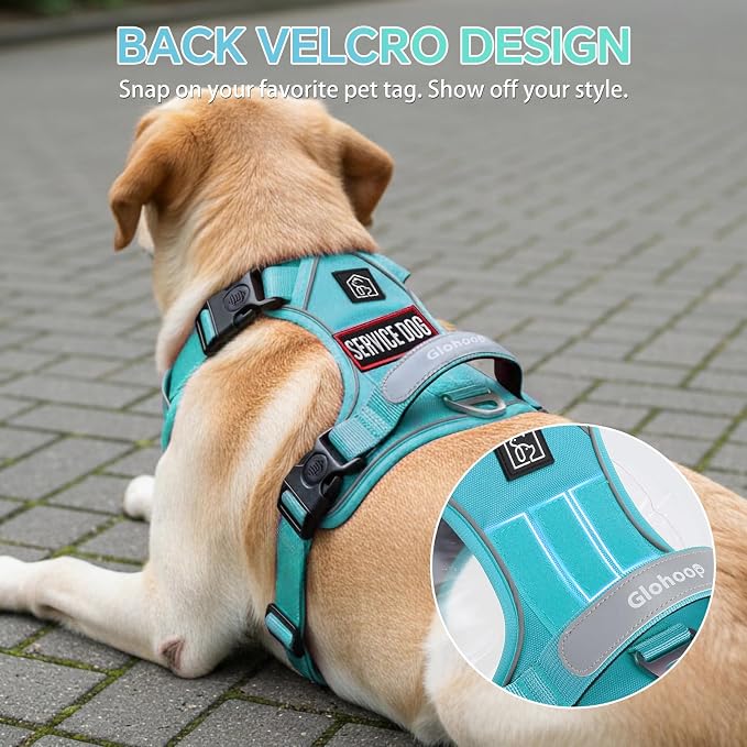 Heavy Duty Tactical Dog Harness for Large Dogs, No Pull Dog Harness with Handle & Front Clip, Reflective Soft Padded, Hook and Loop Panel, Dog Vest for Walking, Service Training, Blue
