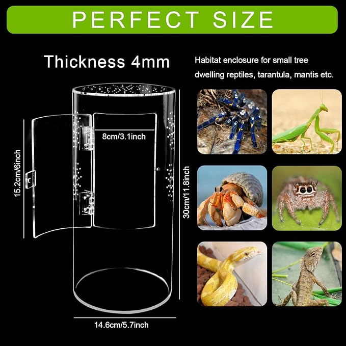 NANEEZOO Acrylic Tarantula Enclosure Jumping Spider Enclosure with Front Opening Door Micro Habitat Terrarium for Small Tree Dwelling Reptiles, Spiders & Invertebrates