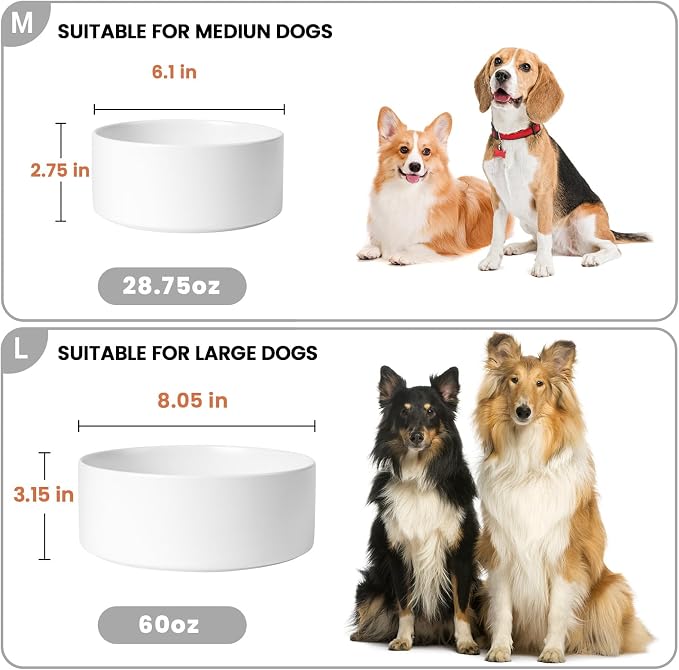 Ceramic Dog Bowls Replacement Set of 2, Compatible with Medium Elevated Stand, 60 oz Heavyweight Food-Grade Feeding Bowls for Small & Medium Dogs, Microwave & Dishwasher Safe (White, 7.6 Cups)