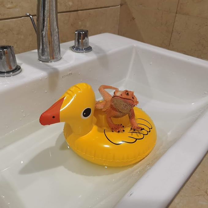 6 Pack Bearded Dragon Bath Floats - Reptile Swimming & Enrichment Accessories for Lizards, Inflatable Pet Pool Floats