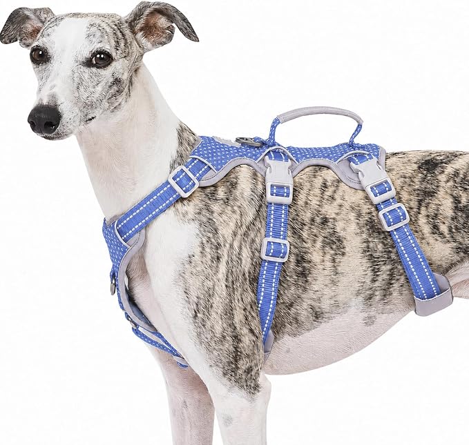 Escape Proof Dog Harness, No Pull Reflective Harness with Lift Handle, Adjustable Pet Vest with Front and Back Leash Clips for Small Medium Large Dogs Walking Hiking Training (Vista Blue,L)