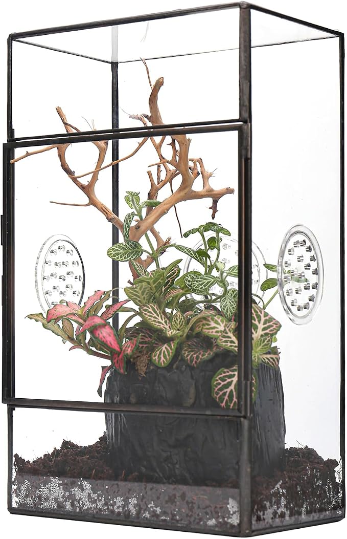 NCYP Glass Enclosure for Large Jumping Spider - 5.1" x 3.9" x 9" Front Opening Door Glass Terrarium with 3 Vent Holes, Small Snail, Insects Habitat, Black (Terrarium Only)