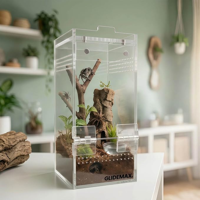 Jumping Spider Enclosure - 3x3x6 Acrylic Tarantula Enclosure Reptile Habitat with Front & Top Magnetic Doors, 0.04" Ventilation Holes Pre-Assembled Terrarium for Spiders, Mantis, Snails, Lizards