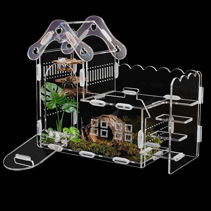 Magnetic Acrylic Jumping Spider Enclosure with Mushroom House, Easy-Feed Hole & Front Opening – Terrarium for Tarantula, Mantis, Beetle, Gecko, Hermit Crab, Reptile Habitat