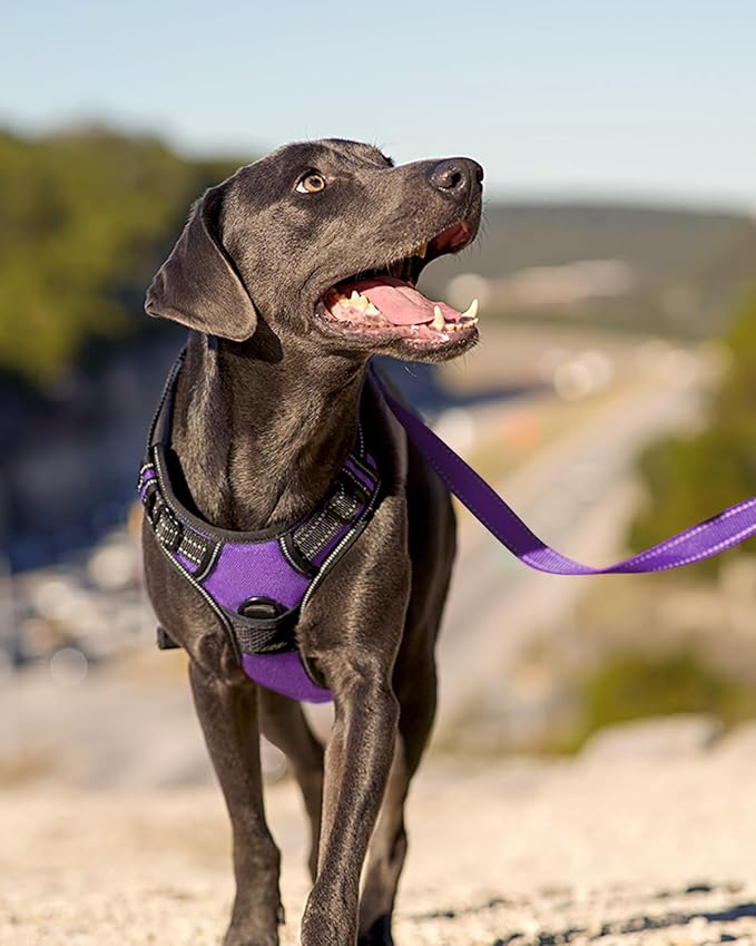 Joytale No Pull Dog Harness for Extra Large Dogs, Front Clip, Purple | Grab Handle for Instant Control, Padded & Adjustable Vest, Sturdy Metal D-Rings, for Safe Training & Daily Walking