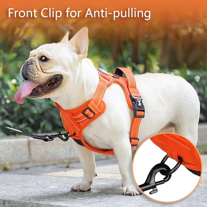 PoyPet No Pull Dog Harness, Reflective Vest with 2 Leash Clips & Handle | Lockable Neck Release Buckle, No Choke, Adjustable, Soft Padded, for Walking Training, Orange Matching Trim, Medium