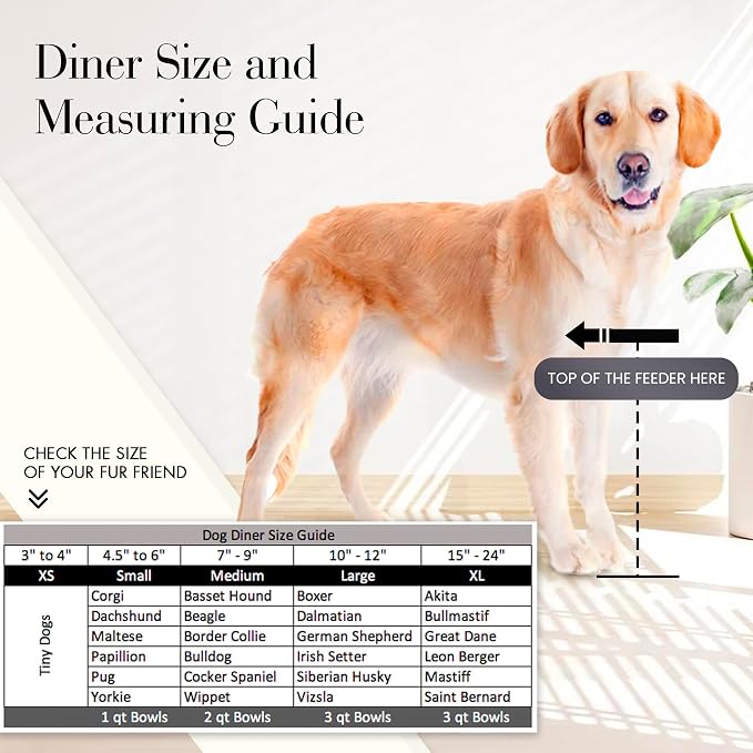 Vision Elevated Double Diner - 10" White - Metal Dog Bowl Stand for Large and XL Dogs, Raised Feeder Station, Wrought Iron, Outdoor/Indoor Pet Bowl, Best for Tall Dogs, Dog Feeding Station