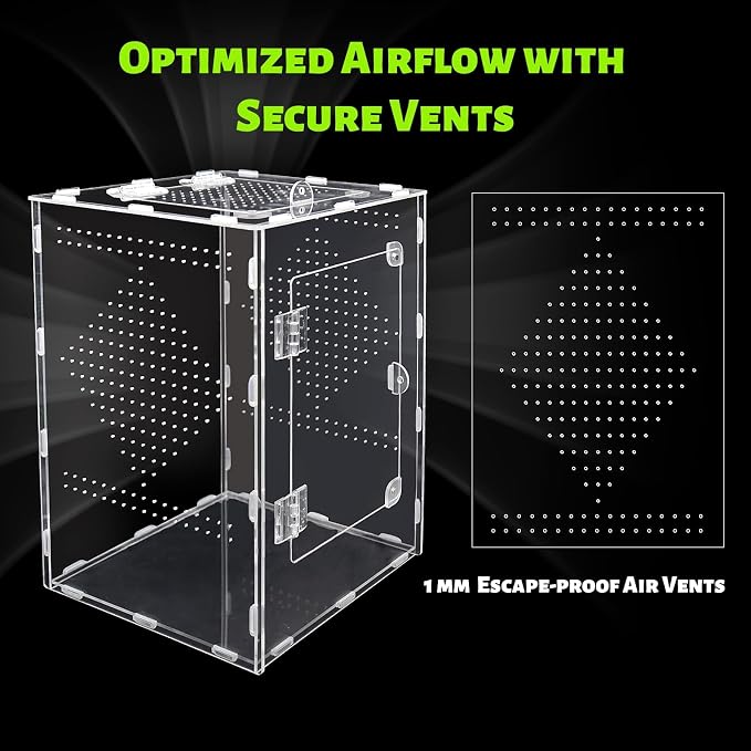 Large Jumping Spider Enclosure, Acrylic Ventilated Terrarium with Magnetic Front and Top Doors, 8.5x8.5x12 Inch, Transparent, Lockable (Large Size)