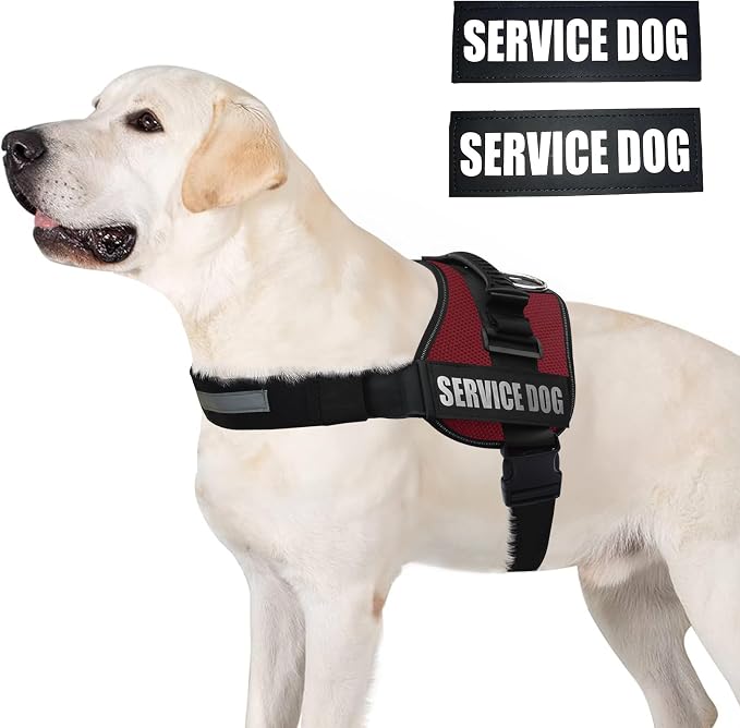 AALBCORP Service Dog Vest Harness – Reflective Service Animal Vest, No-Pull Harness with Handle & Mesh Padding – Sizes XXS-XL for Puppies – 2 Removable Service Patches Included (Extra Large, Maroon)