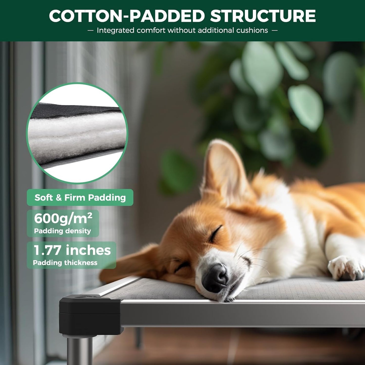 FXW TitanNest Chew-Proof Elevated Dog Bed, Raised Cot for Indoor/Outdoor/Camping Use, Durable & Washable Padded Pet Bed for Small Dogs, 36.0" L x 24.0" W x 4.5" H, Gray