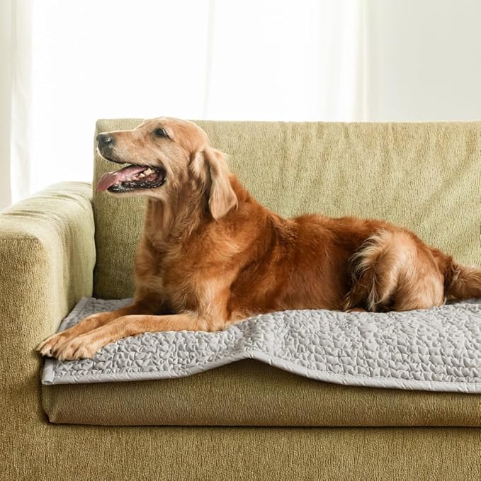 PAULATO BY GA.I.CO. Waterproof Blanket – 24x67” Changing Absorbent Pad for Incontinence – Machine Washable Stain-Resistant Protector for Couch Sofa or Bed – Reusable Waterproof Cover - Macadamia