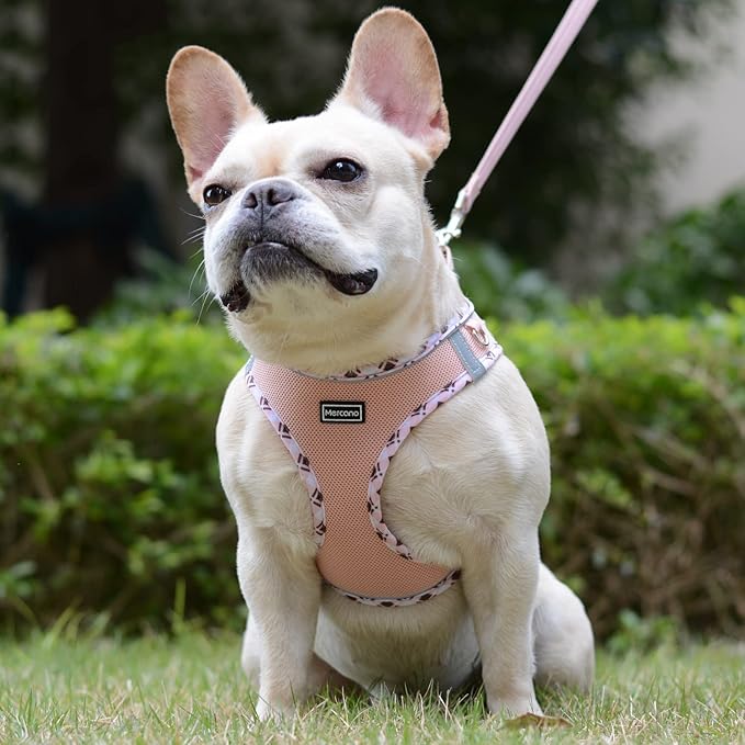 Mercano Soft Mesh Dog Harness and Leash Set, No-Chock Step-in Reflective Breathable Lightweight Easy Walk Vest Harnesses with Safety Buckle for Small Dogs, Cats (Champagne, XXS)