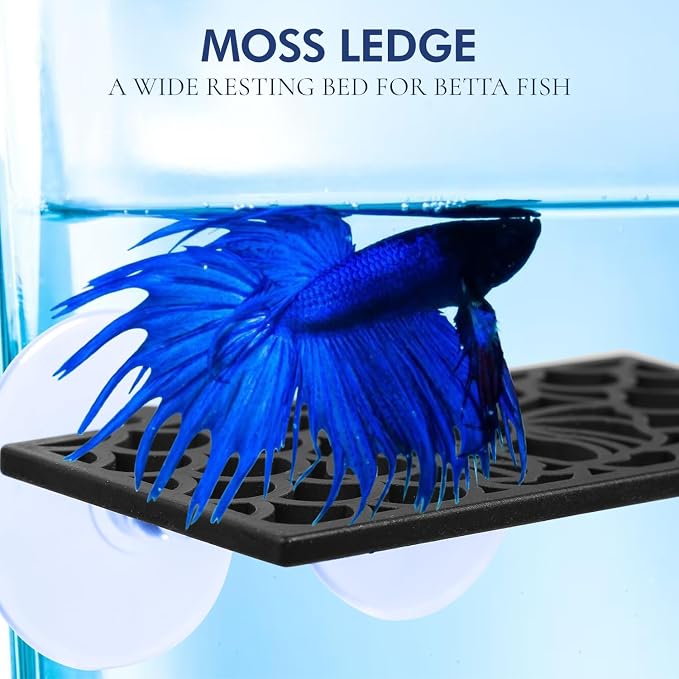 Abizoo Betta Fish Tank Accessories Decorations, Betta Tunnel Swim Tube Black Soft Edged Betta Hammock Bed, Shrimp Guppies Hideout Shelter Toys, Aquarium Moss Ledge - Perfect For Betta Tanks