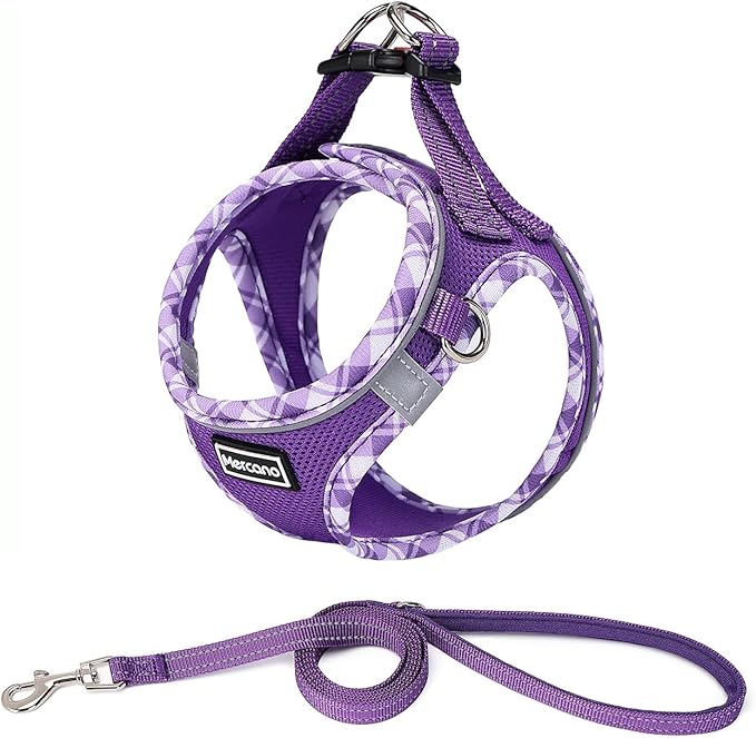Mercano Soft Mesh Dog Harness and Leash Set, No-Chock Step-in Reflective Breathable Lightweight Easy Walk Vest Harnesses with Safety Buckle for Small Dogs, Cats (S, Purple)