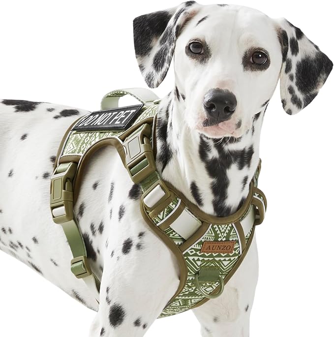 AUNZO Service Dog Vest Harness with 2 Velcro Patches, No Pull Dog Harness for Walking Training Hiking, Metal D-Rings Easy on/Off Neck Buckle Reflective Strips Soft Padded Handle, Green