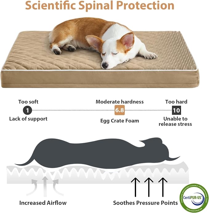 WNPETHOME Orthopedic XXL Dog Beds for Large Senior Dog Bed Comfy Sleeping | XXL Washable Waterproof Dogs Bed with Removable Cover, Multi-Needle Quilting Dogs Crate Bed for Relax , Brown 55x42 Inch